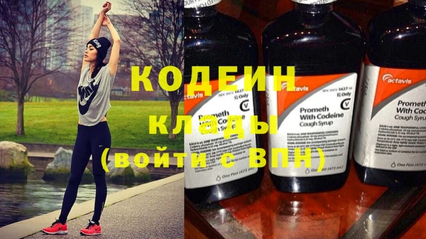 молекула духа Карпинск