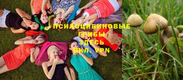 круглые Снежногорск