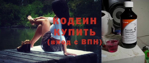 молекула духа Карпинск